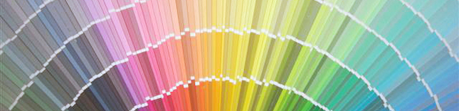 カラーチップ一部の写真