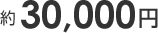 約30,000円